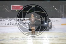 ref. photo 3402012
