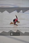 ref. photo 3520474