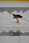 ref. photo 3520475