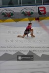 ref. photo 3520481