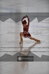 ref. photo 3521897