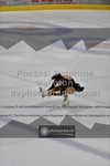 ref. photo 3522175