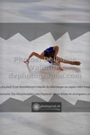 ref. photo 3523065
