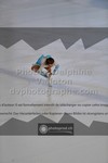 ref. photo 3523165