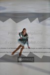 ref. photo 3523318