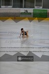 ref. photo 3523675