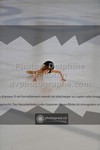 ref. photo 3523685