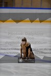 ref. photo 3475412