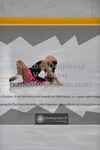 ref. photo 3476922