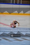 ref. photo 3477188
