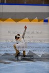 ref. photo 3477345