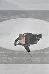 ref. photo 3021831