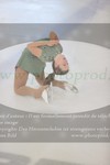 ref. photo 3022141