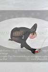 ref. photo 3026586
