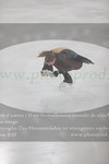 ref. photo 3029000