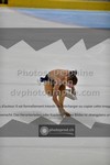 ref. photo 3441117
