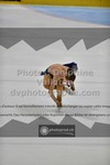 ref. photo 3441118