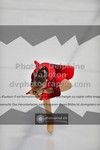 ref. photo 3441923