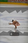 ref. photo 3442596
