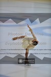ref. photo 3443698