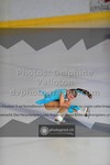 ref. photo 3444539