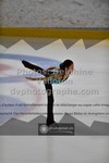 ref. photo 3447028