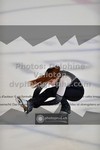 ref. photo 3449951