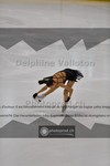 ref. photo 3930544