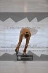 ref. photo 3931609