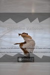 ref. photo 3931610