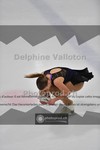 ref. photo 3931670