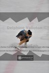 ref. photo 3933103