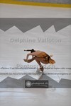 ref. photo 3934054