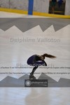 ref. photo 3935265