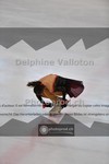ref. photo 3935390