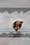 ref. photo 3935391