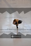 ref. photo 3936980