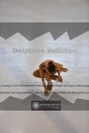 ref. photo 3938019