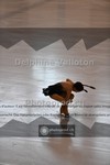 ref. photo 3938213