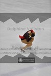 ref. photo 3939527