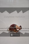 ref. photo 3940586