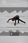 ref. photo 3941218