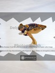 ref. photo 3941976
