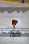 ref. photo 3942073