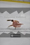 ref. photo 3942106