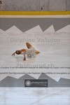 ref. photo 3942702