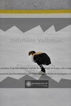 ref. photo 3943890