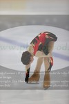 ref. photo 3361265
